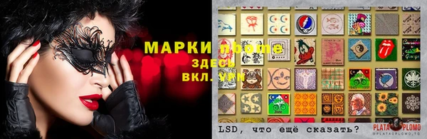 ГАЛЛЮЦИНОГЕННЫЕ ГРИБЫ Козельск