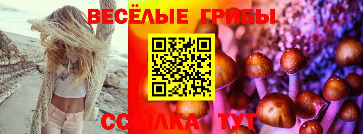 Галлюциногенные грибы мицелий Пермь